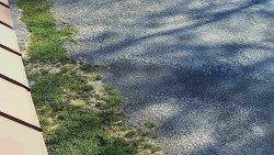 Nástup na běžecké tratě