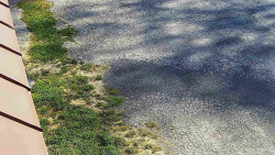 Nástup na běžecké tratě