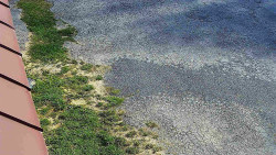 Nástup na běžecké tratě