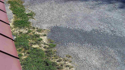 Nástup na běžecké tratě