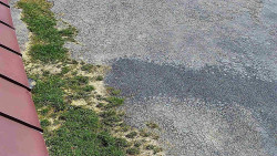 Nástup na běžecké tratě