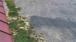 Nástup na běžecké tratě