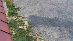 Nástup na běžecké tratě