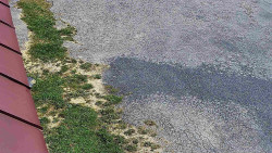 Nástup na běžecké tratě