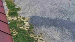 Nástup na běžecké tratě