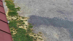 Nástup na běžecké tratě