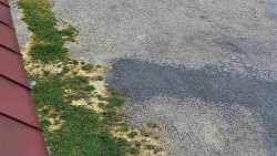 Nástup na běžecké tratě