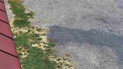 Nástup na běžecké tratě