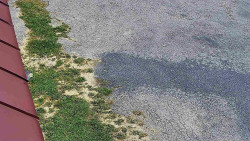 Nástup na běžecké tratě