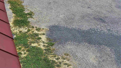 Nástup na běžecké tratě