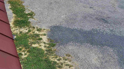 Nástup na běžecké tratě