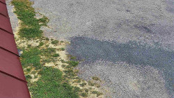 Nástup na běžecké tratě