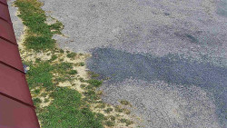 Nástup na běžecké tratě