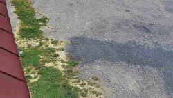 Nástup na běžecké tratě