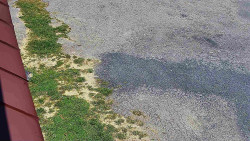 Nástup na běžecké tratě