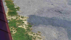 Nástup na běžecké tratě