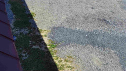 Nástup na běžecké tratě