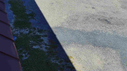 Nástup na běžecké tratě