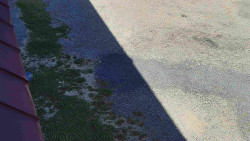 Nástup na běžecké tratě