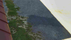 Nástup na běžecké tratě