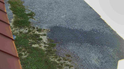 Nástup na běžecké tratě