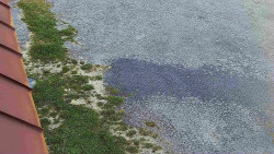 Nástup na běžecké tratě