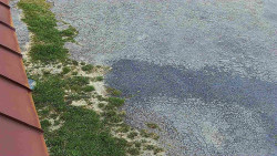 Nástup na běžecké tratě