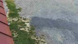 Nástup na běžecké tratě