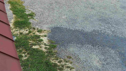 Nástup na běžecké tratě