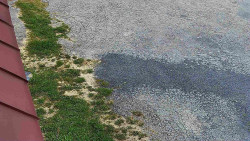 Nástup na běžecké tratě