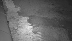 Nástup na běžecké tratě