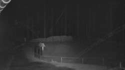 Nástup na běžecké tratě