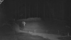 Nástup na běžecké tratě