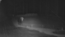 Nástup na běžecké tratě