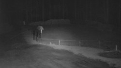 Nástup na běžecké tratě