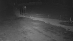 Nástup na běžecké tratě