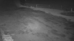 Nástup na běžecké tratě