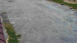 Nástup na běžecké tratě