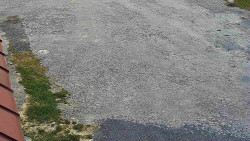 Nástup na běžecké tratě