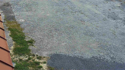 Nástup na běžecké tratě