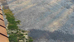 Nástup na běžecké tratě