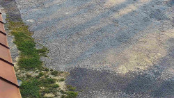 Nástup na běžecké tratě