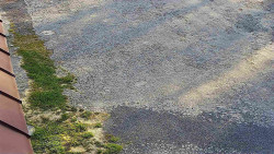 Nástup na běžecké tratě