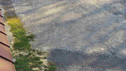 Nástup na běžecké tratě