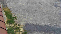 Nástup na běžecké tratě