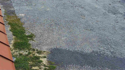 Nástup na běžecké tratě