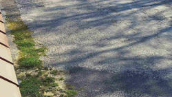 Nástup na běžecké tratě