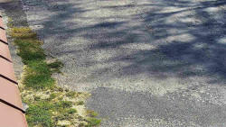 Nástup na běžecké tratě