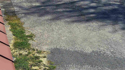 Nástup na běžecké tratě