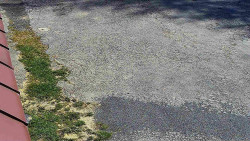 Nástup na běžecké tratě